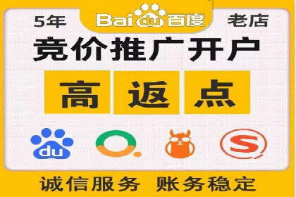 百度竞价赚钱技巧：实战案例分析